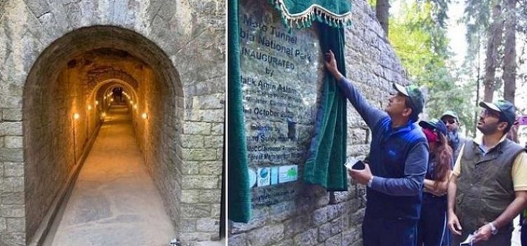 Moto Tunnel