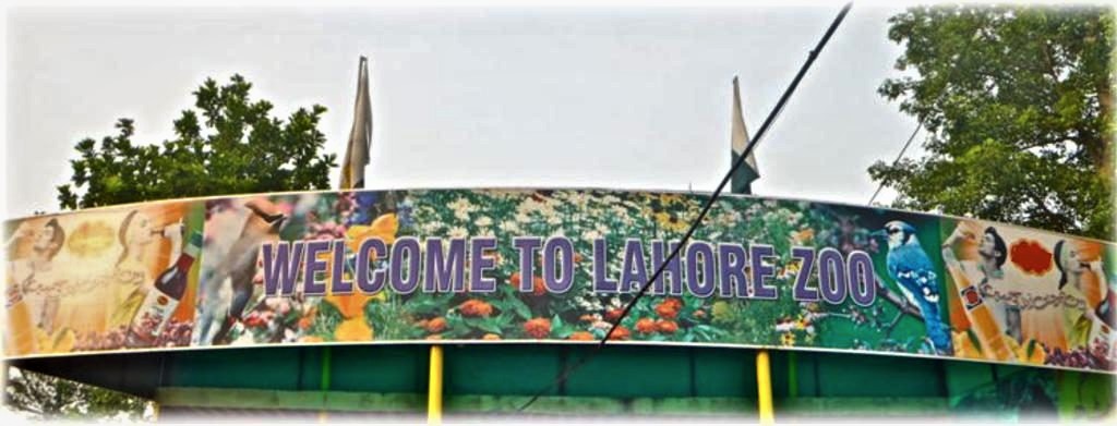 visit to lahore zoo